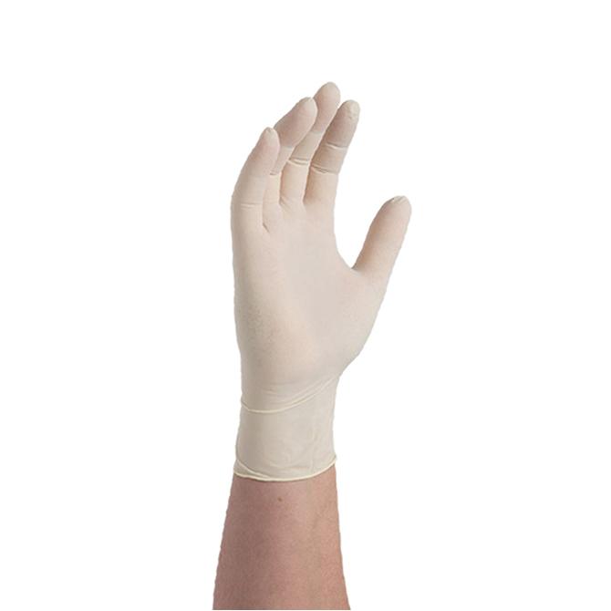 Latex Gloves (Powder Free)