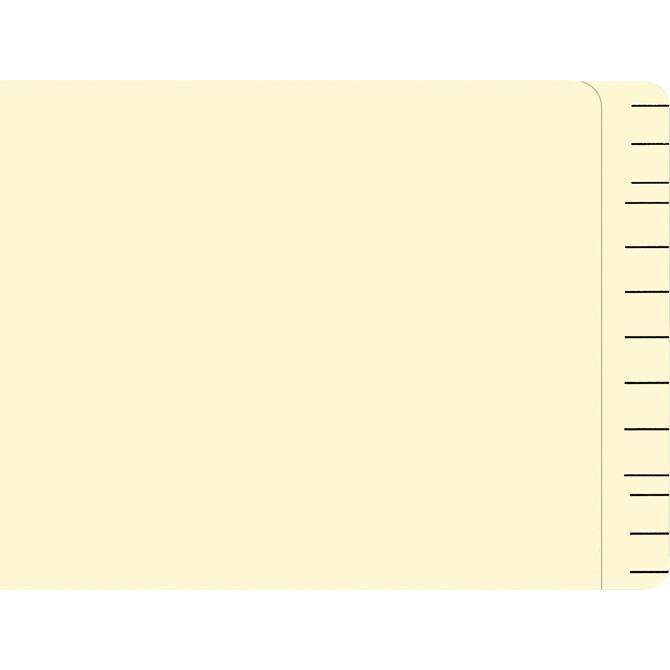 Plain File Right™ File Folders (100 Per Box) – The Dealership Store