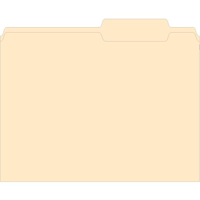 3 Tab File Folders