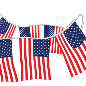 American Flag Pennants - Supreme Cloth Sales Department The Dealership Store