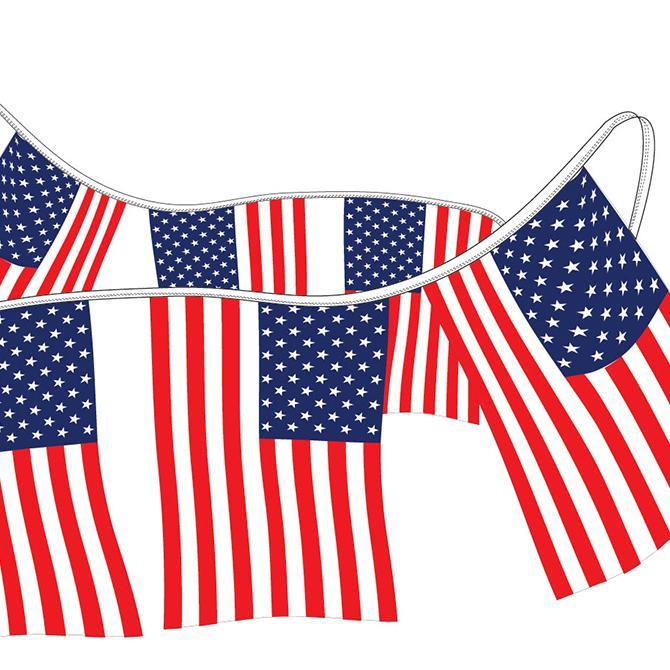 American Flag Pennants - Supreme Cloth